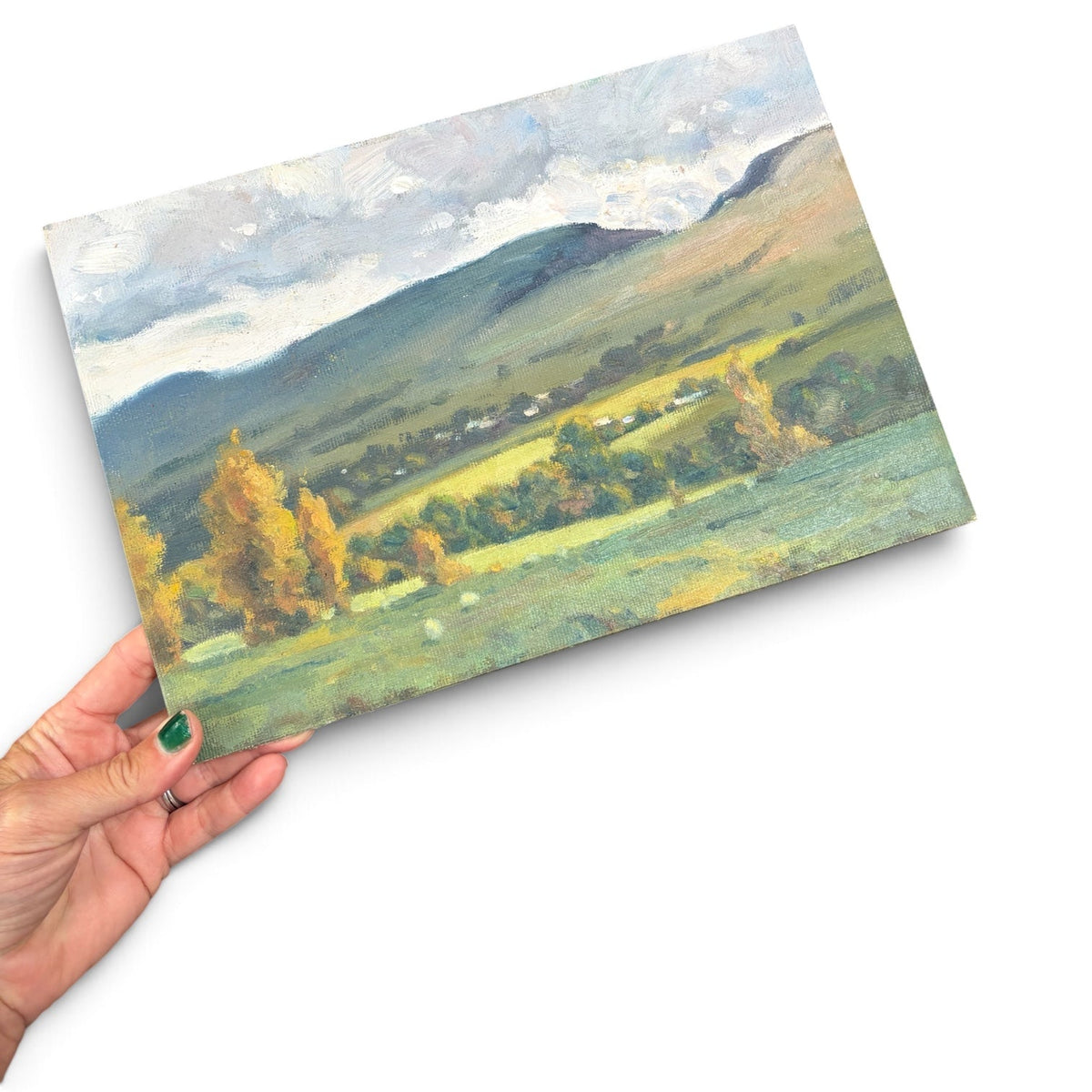 Edale valley oil painting by Chris Slater - Natalia Willmott