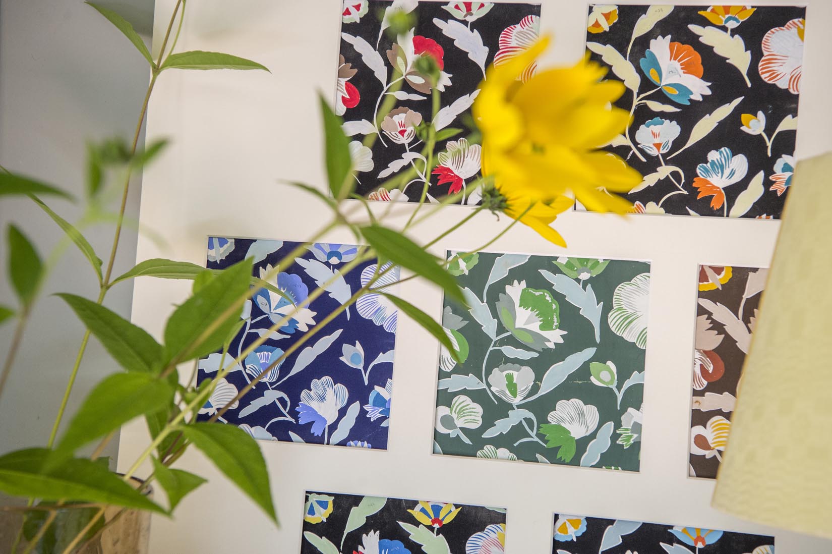 Flowers in seven colour-ways textile design - Natalia Willmott