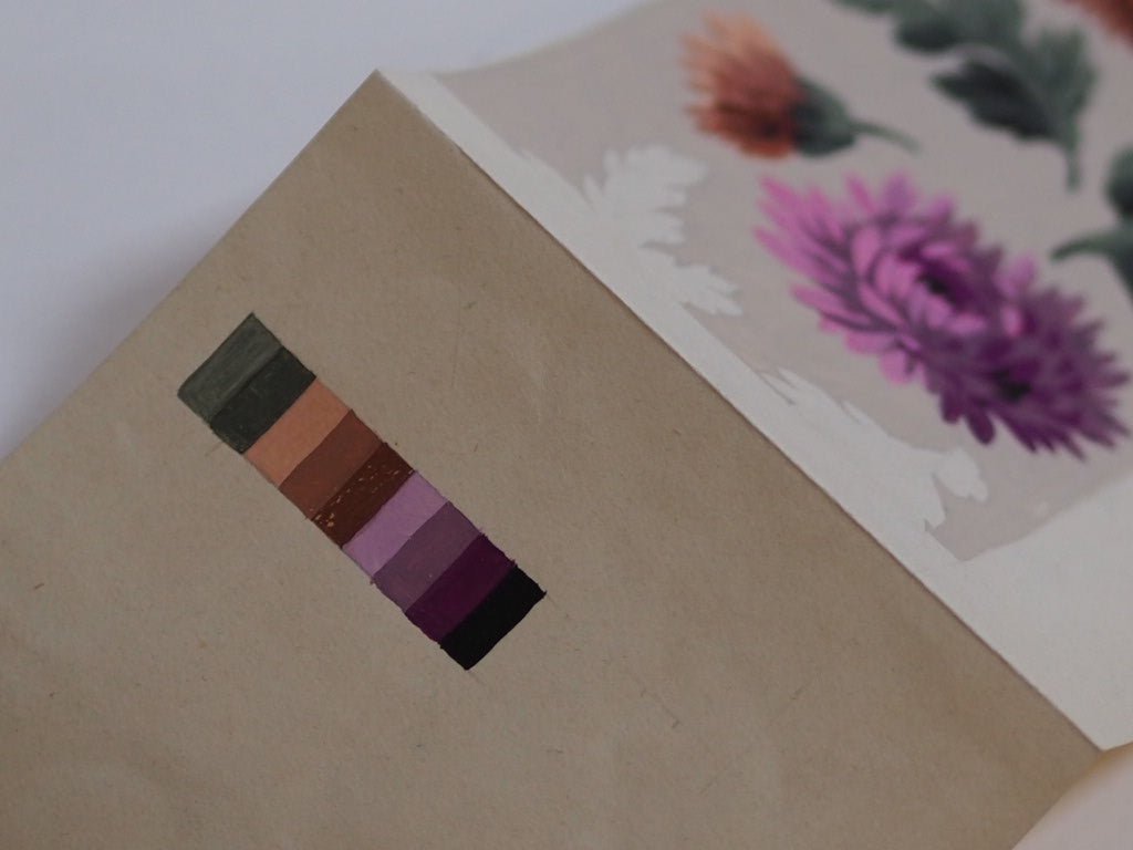 French antique Chrysanthenum ribbon design - Natalia Willmott