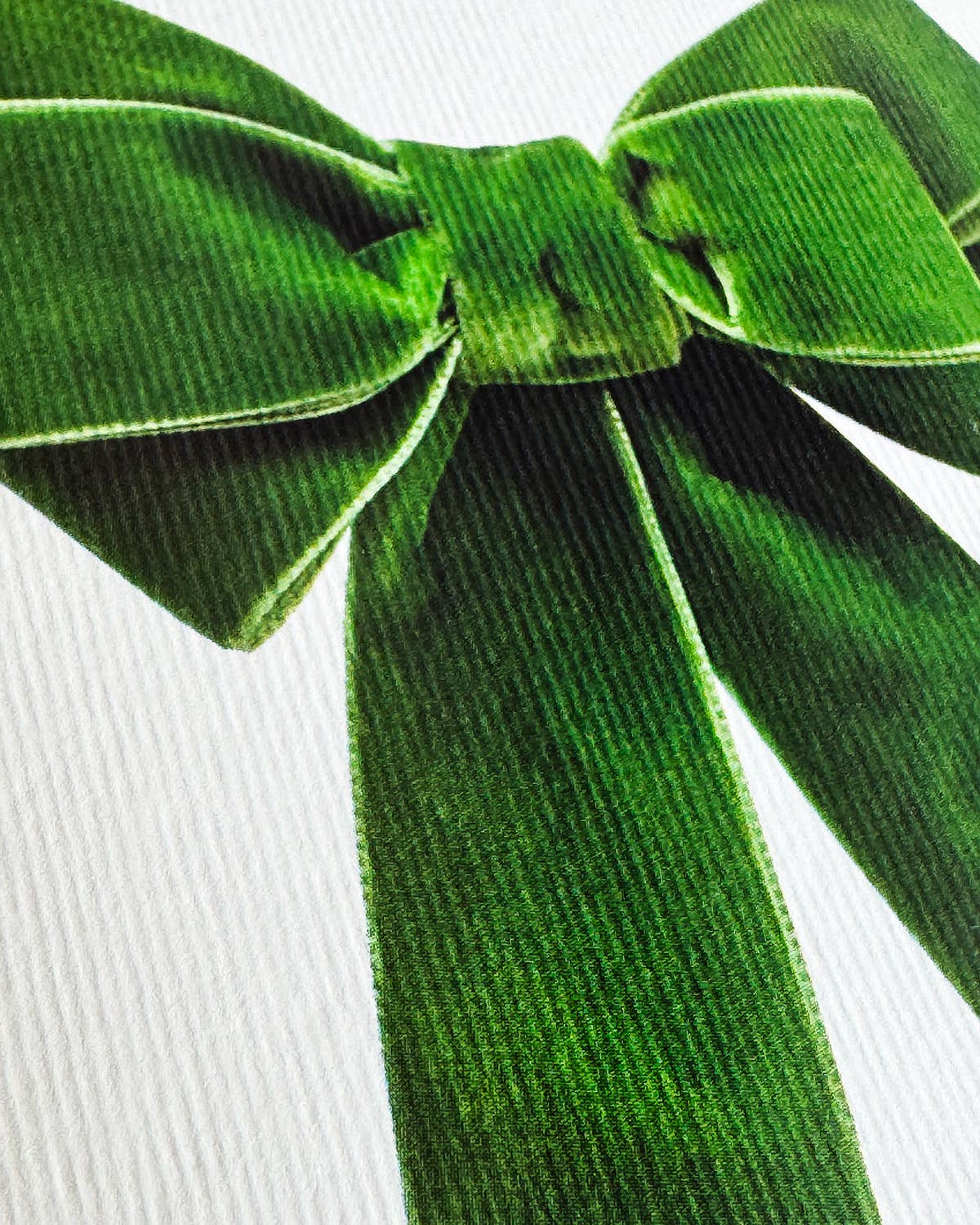 Green Velvet Bow Greeting Card | Birthday Card - Natalia Willmott