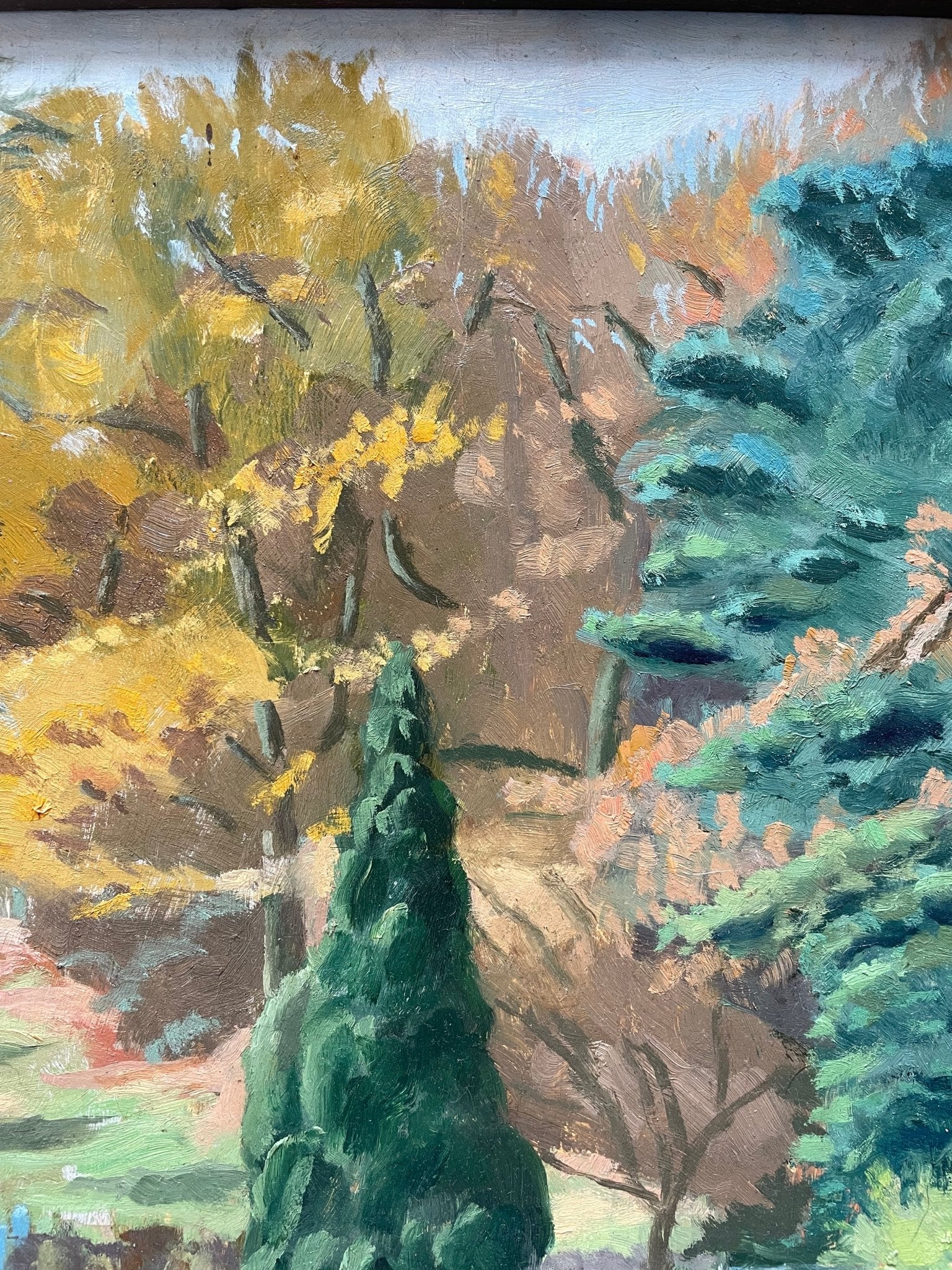 Oil painting Trees by C.J Gregory - Natalia Willmott