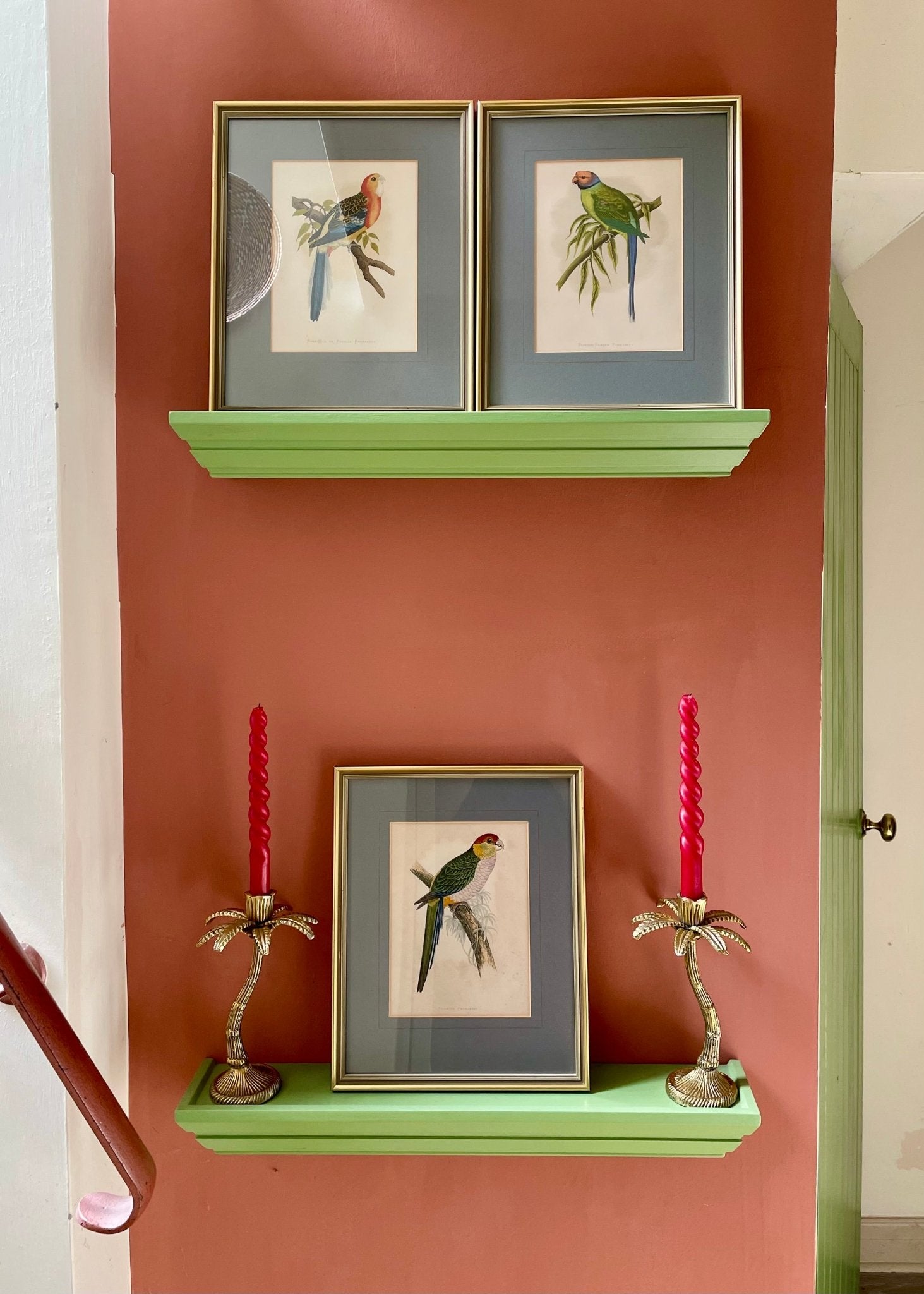Print of a Blossom - headed Parakeet from W.T. Greene's "Parrots in Captivity - Natalia Willmott