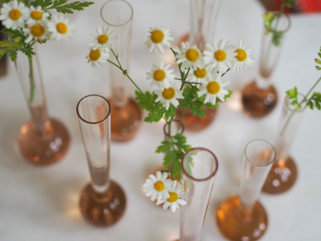 Set of 10 mid century bud glass vases - Natalia Willmott