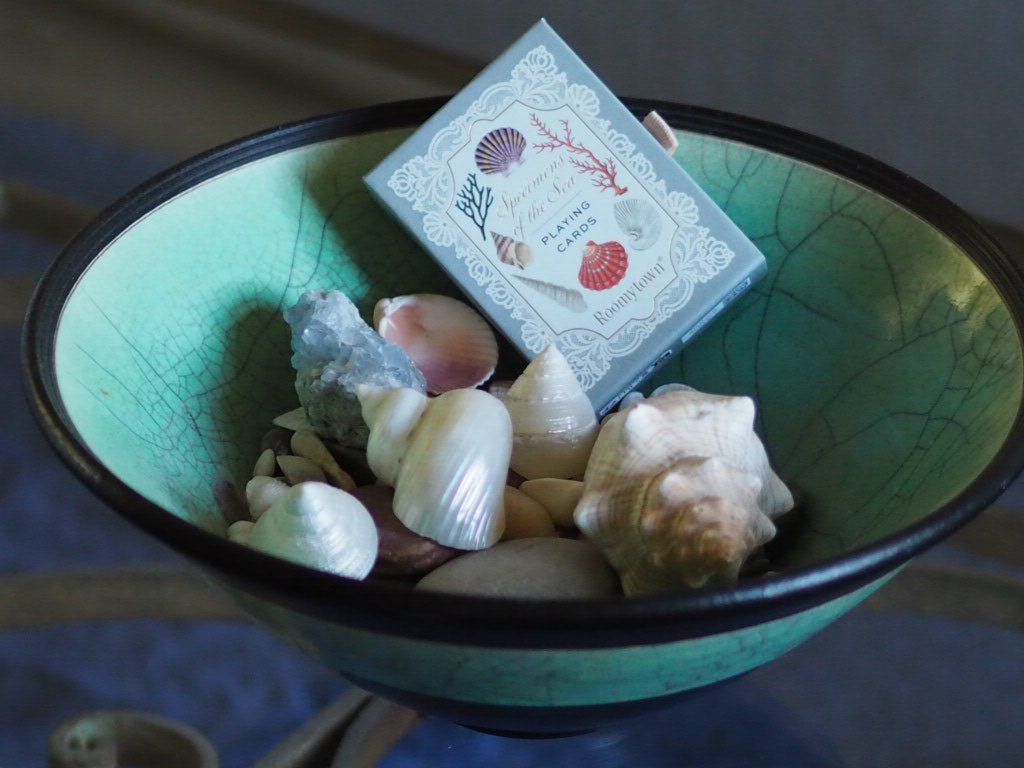 Single Deck Playing Cards - Specimens of the Sea - Natalia Willmott