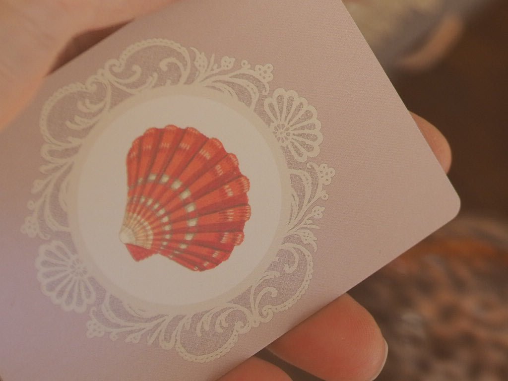 Single Deck Playing Cards - Specimens of the Sea - Natalia Willmott