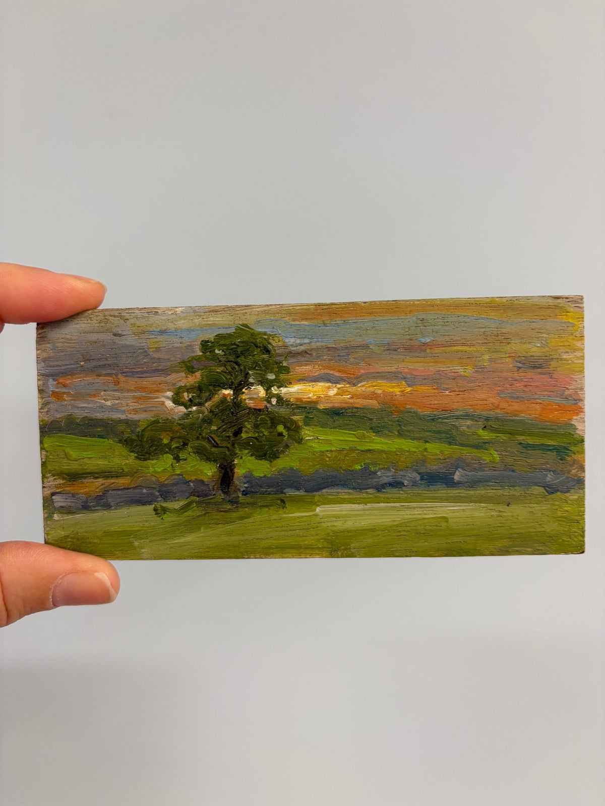 Tree by the river small oil painting - Natalia Willmott