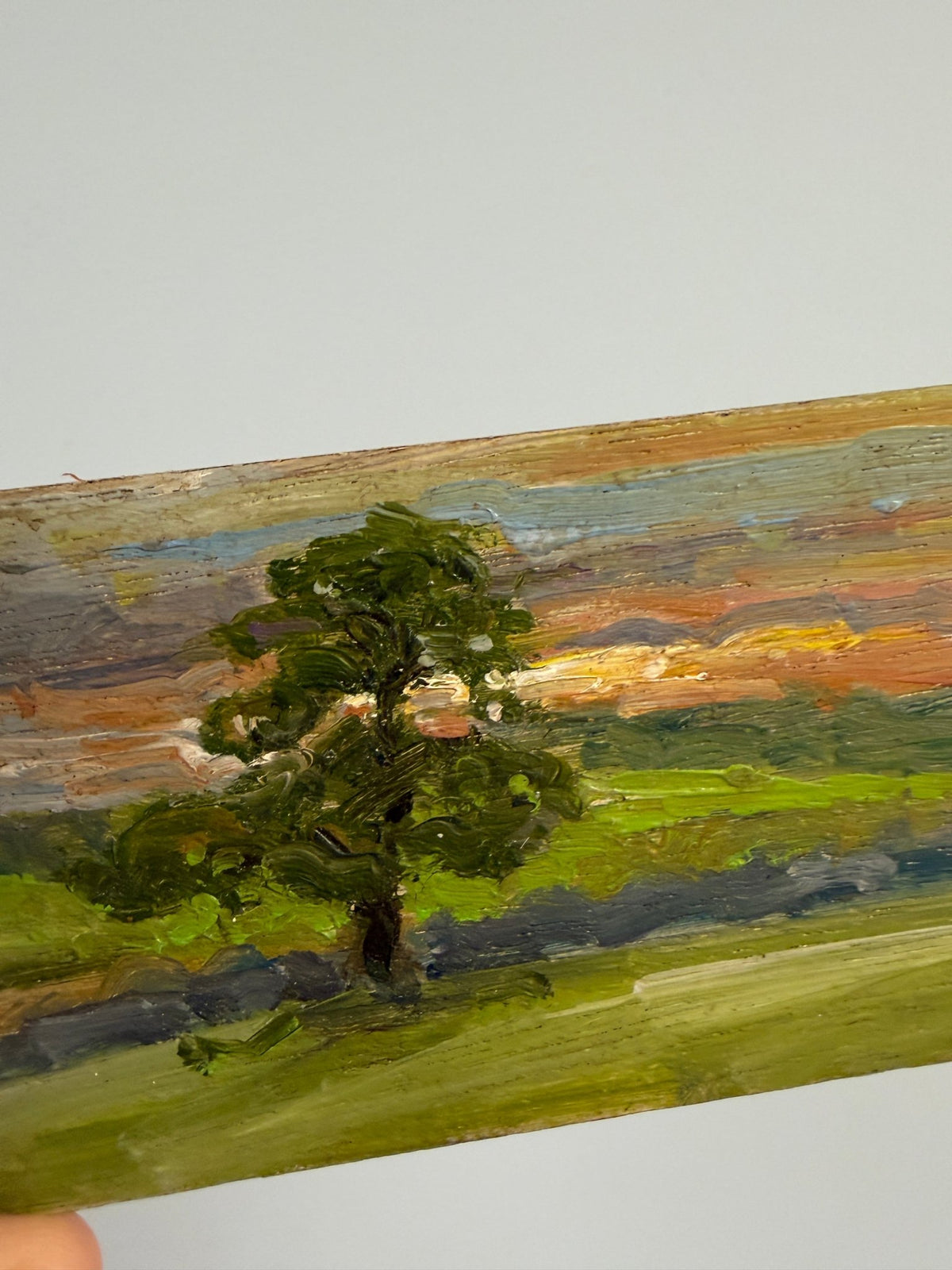 Tree by the river small oil painting - Natalia Willmott