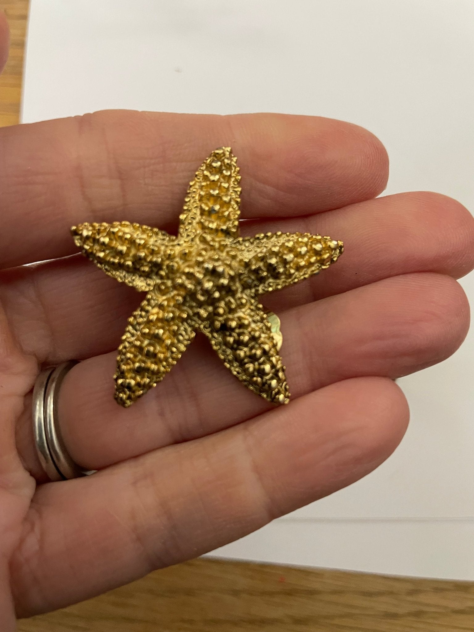 Vintage "bobbly" starfish clip on earrings - Natalia Willmott