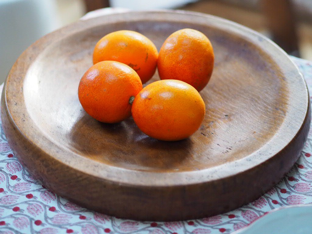 Vintage oak flat bowl - Natalia Willmott