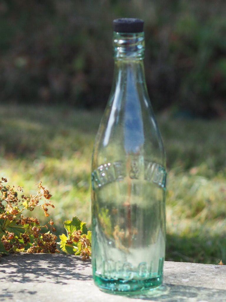 Antique beer bottle with original stopper from William Hornsby, Park & White and RL Jones - Natalia Willmott