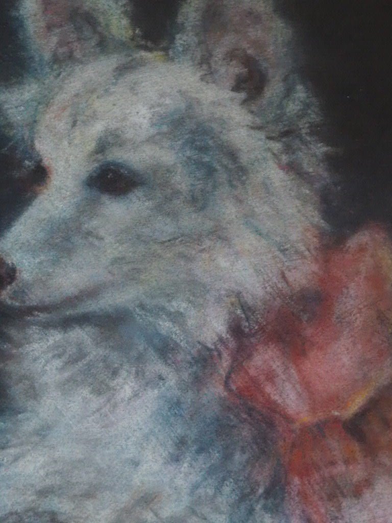 Antique pastel of a white dog - Natalia Willmott