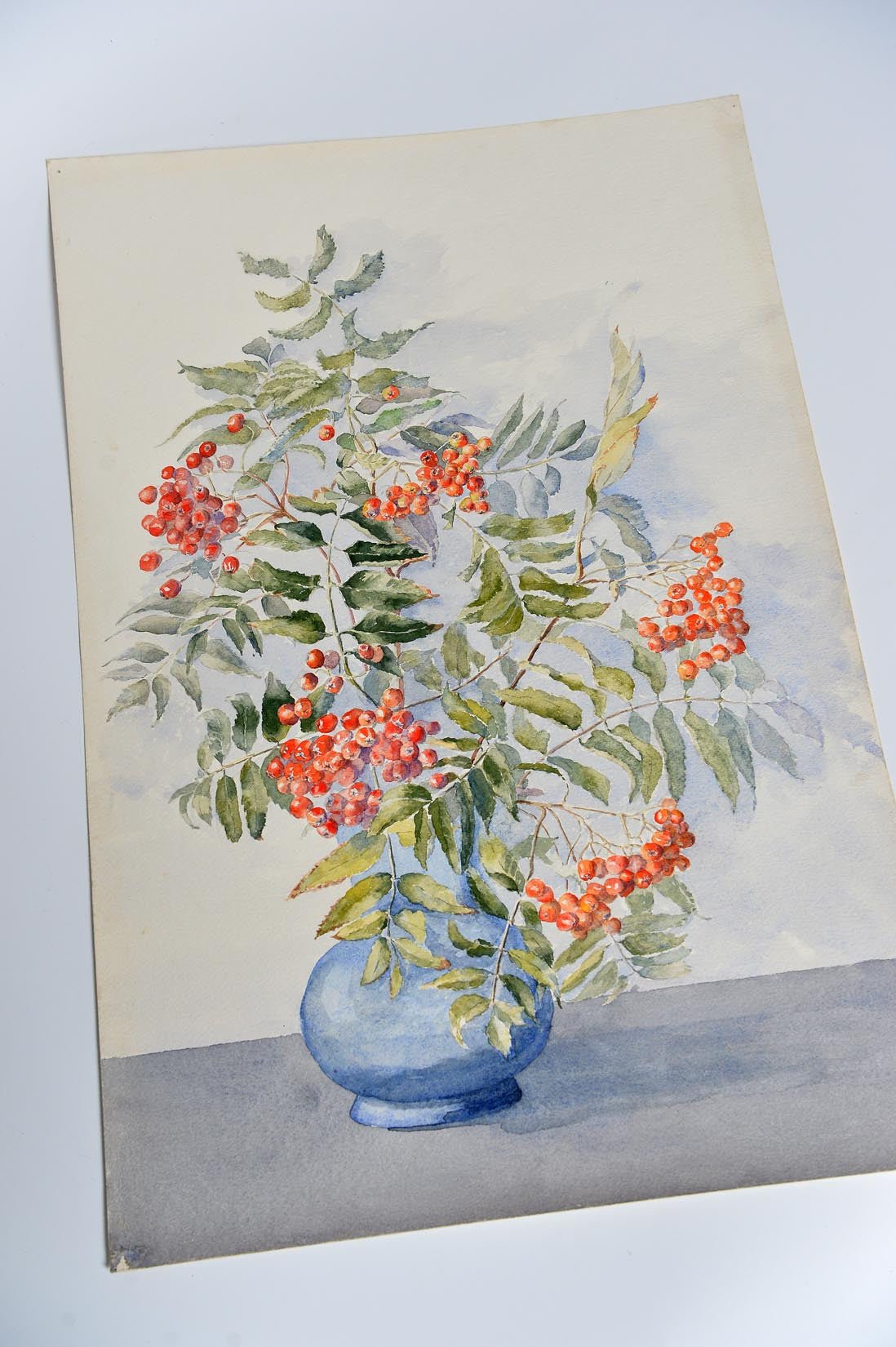 Holly in blue vase watercolour by A. Whitworth - Natalia Willmott