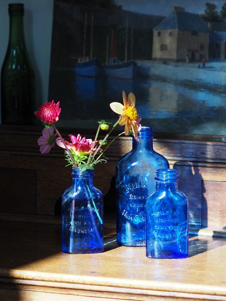 Mid century milk of Magnesia cobalt blue large of bottles - Natalia Willmott