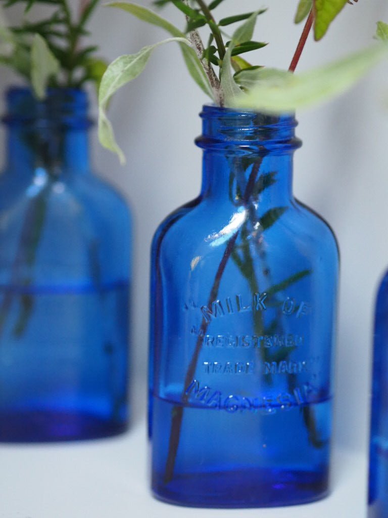 Mid century milk of Magnesia cobalt blue pair of bottles - Natalia Willmott