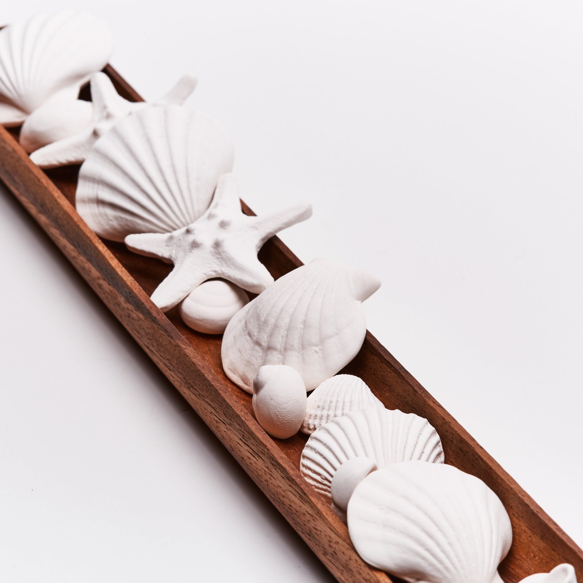 Perfume diffuser wood tray and Porcelain seashells - Natalia Willmott