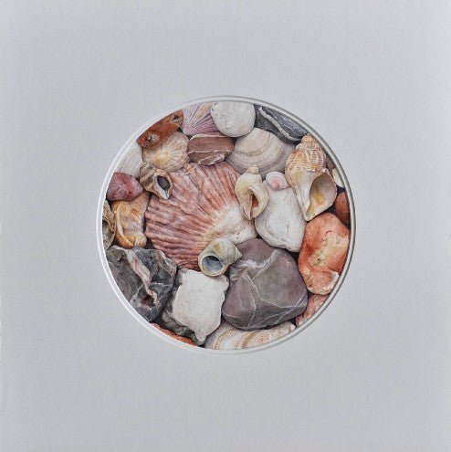 Pink shells giclee print by Mark Azopardi - Natalia Willmott