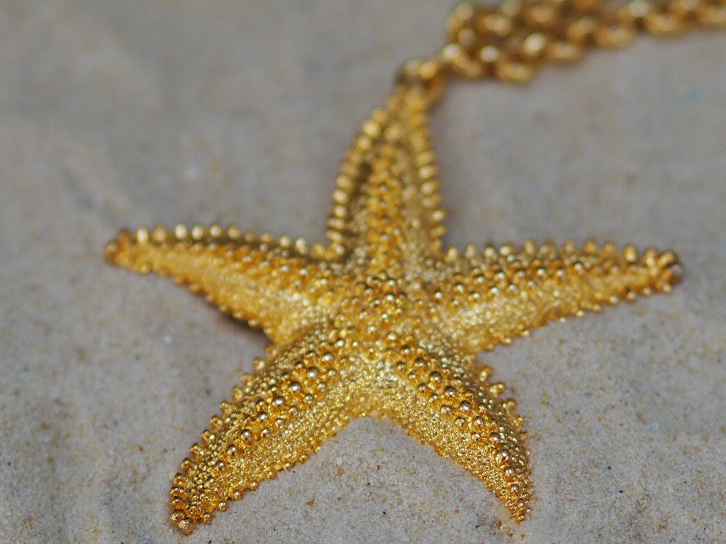 Starfish drop chain necklace - Natalia Willmott