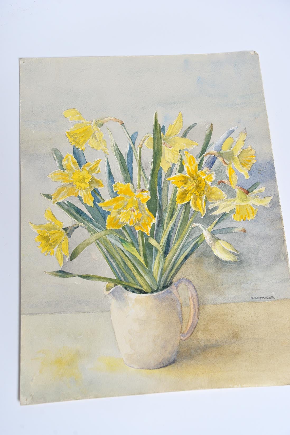 Still life white jug with daffodils by A. Whitworth - Natalia Willmott