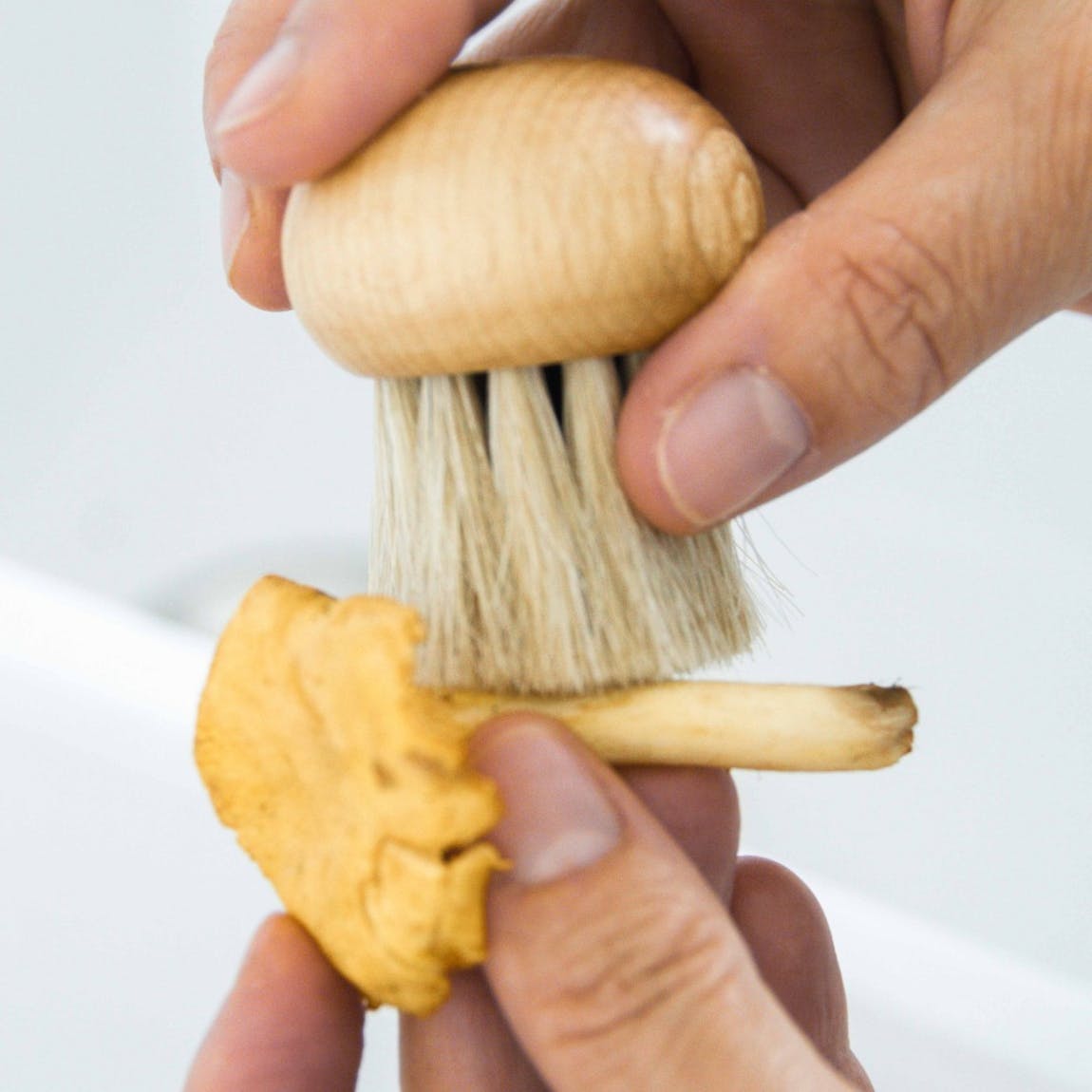 The eco mushroom brush - Natalia Willmott