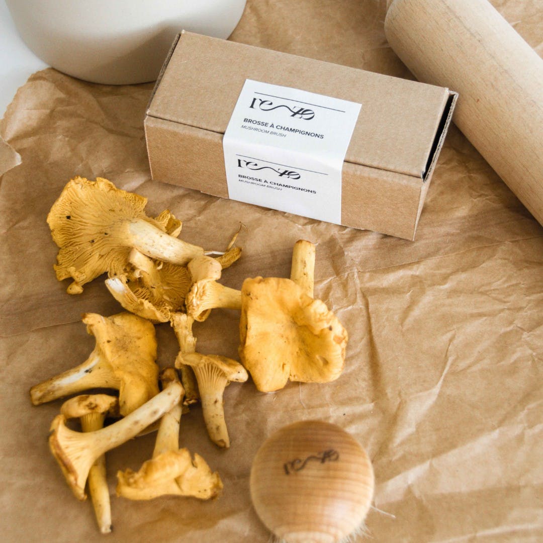 The eco mushroom brush - Natalia Willmott