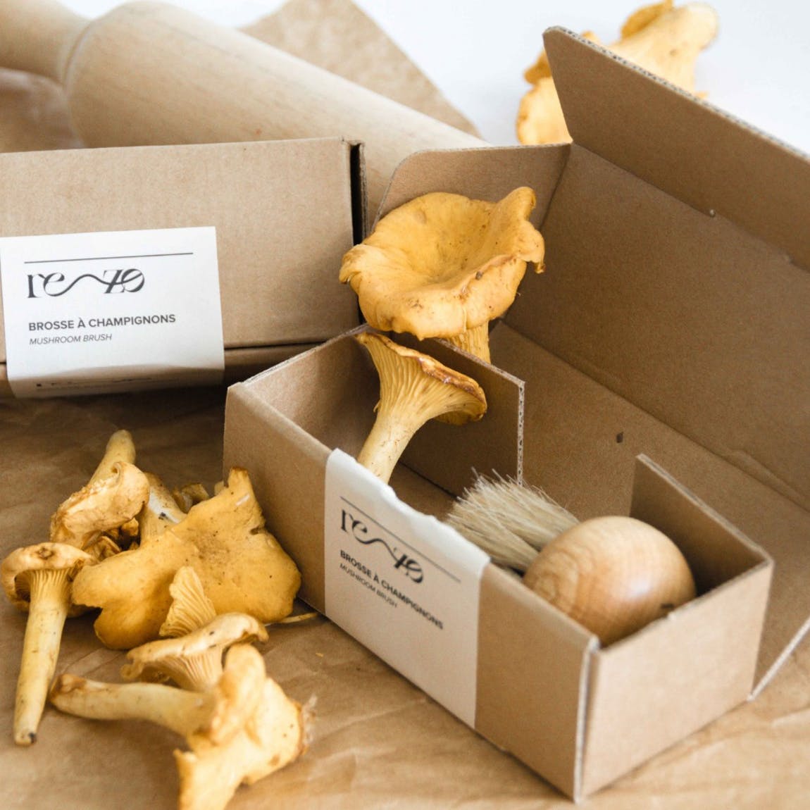 The eco mushroom brush - Natalia Willmott